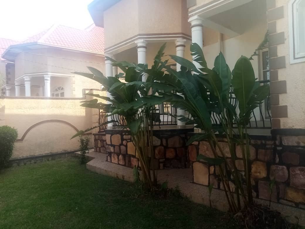 houses for rent