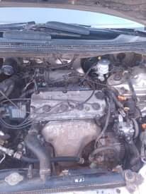 A picture of Honda Odyssey Shuttle 1999