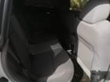 A picture of Forester