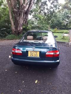used toyota corolla