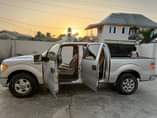 A picture of Ford F150 2009 model