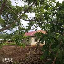 A picture of Land for sale in Mukono Seeta Nazigo Sized on 50by100fts