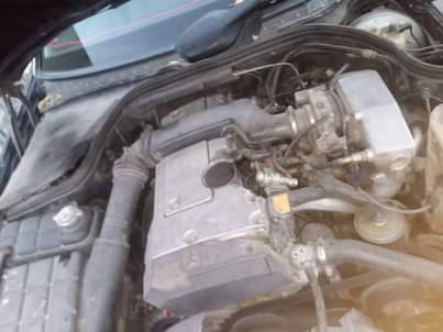 A picture of The owner need money