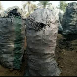 A picture of Charcoal