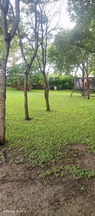 cottages