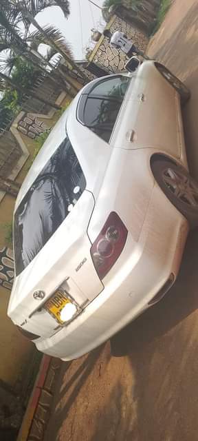 A picture of 19 5m 0742195580