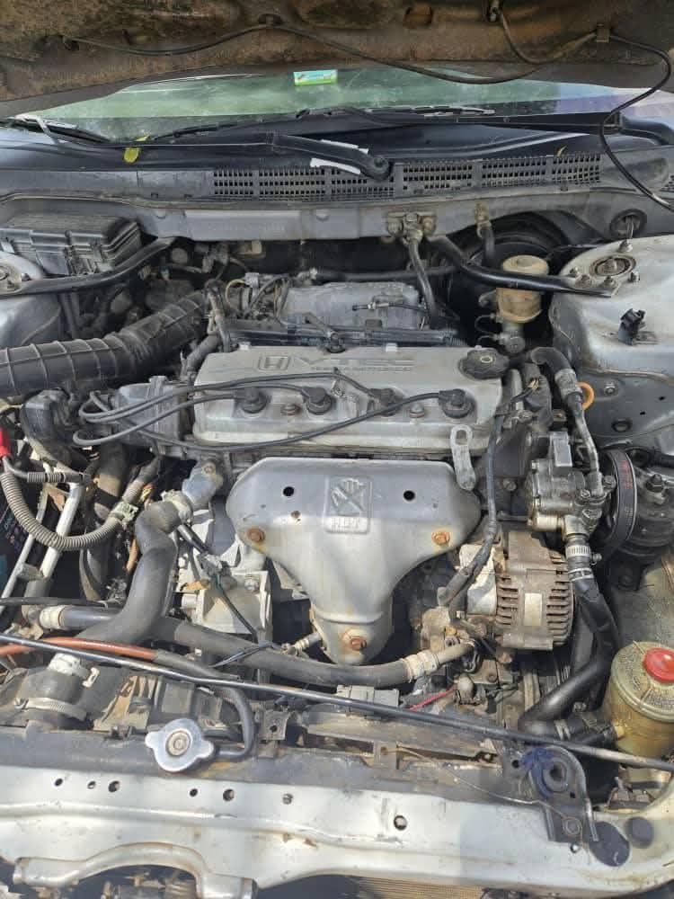 A picture of 2002 Honda accord baby boy hennessy
