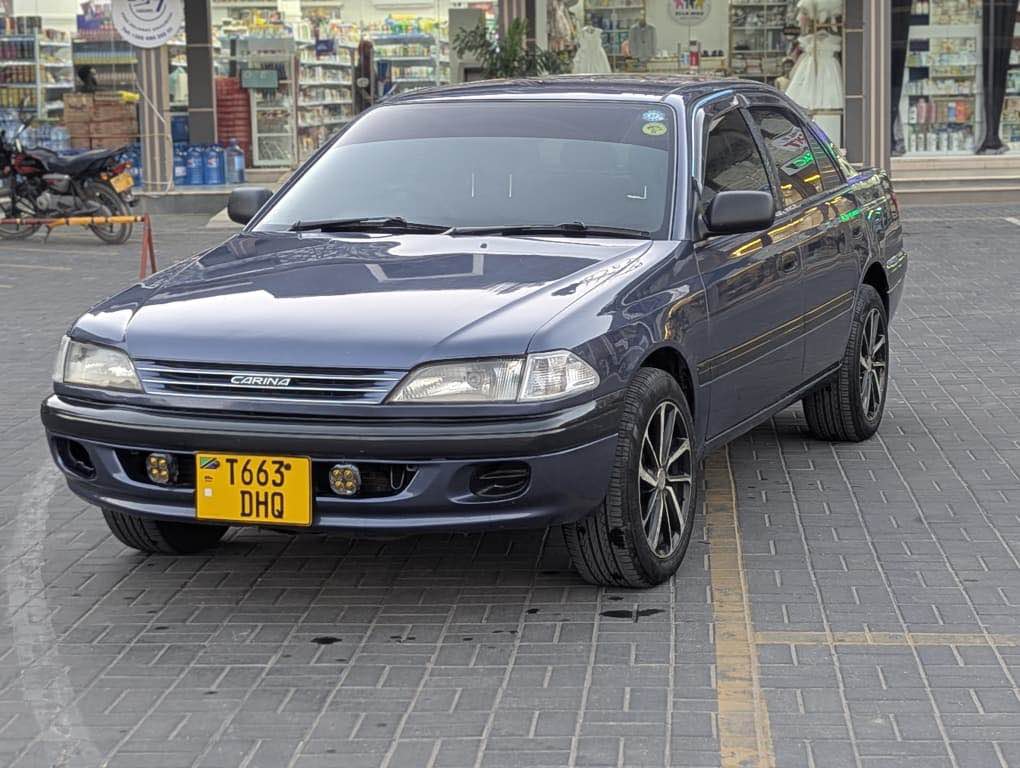 A picture of Carina for sale