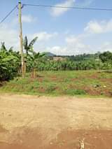 A picture of PLOTS 4 SALE IN NAKAWUKA Located 1km from Nakawuka town