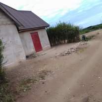 A picture of Duka bovu