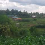 A picture of 30 decimals 25m About three 50 100 plots Matugga Buwambo