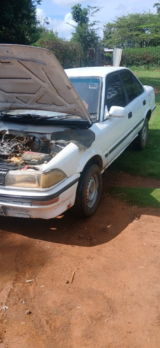 toyota 91