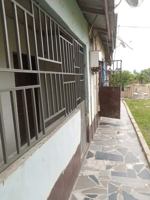 El H.