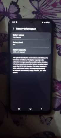 A picture of Samsung F13