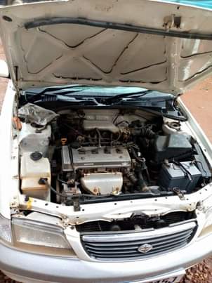 A picture of Premio super manual