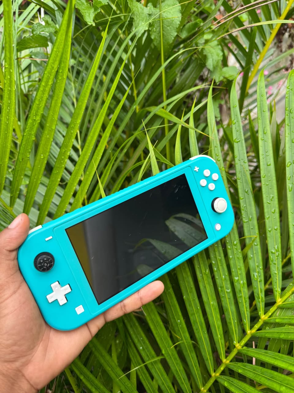 nintendo
