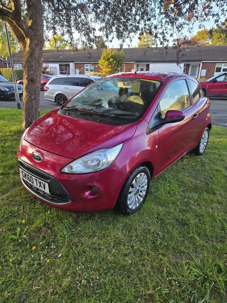 ford zetec