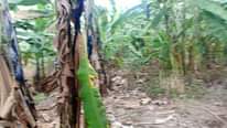 A picture of Land