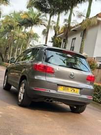 A picture of Tiguan 2014 44m
