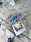 A picture of NAUZ FENI YA JUU MWANAMKE NYONGA INAPGA UPEPO UPANDE MMOJA