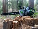 A picture of CHAINSAW