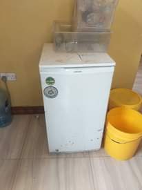 A picture of Friza