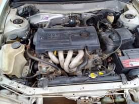 A picture of Small but mighty corolla