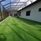 grass