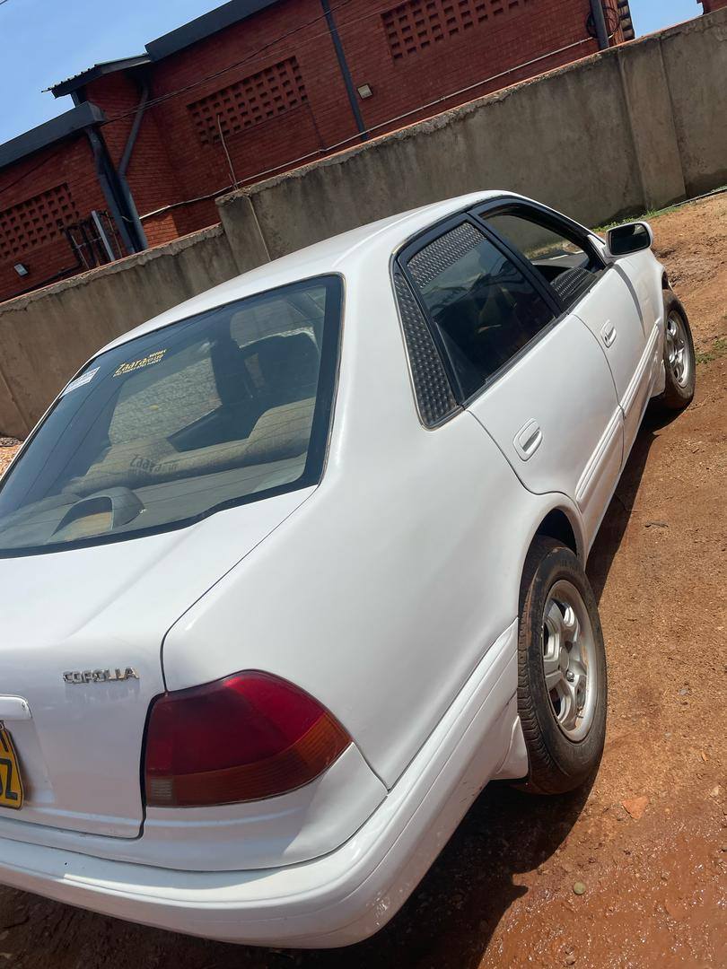 A picture of COLLORA 6 5M CALL0701488581 WHAT S APP 0776417404