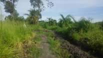 A picture of LAND