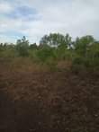 A picture of ZIMEBAKI HEKA 35 SHAMBA LAKUSAFISHA LINAUZWA MZENGA ZEGERO WILAYA YA