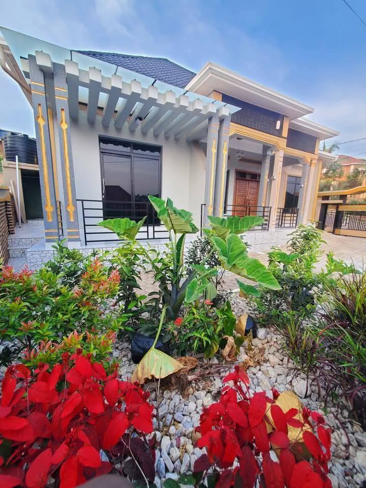 houses for rent