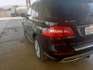 A picture of Mercedes