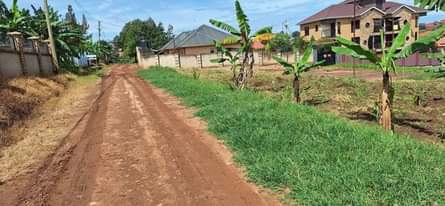A picture of 48m PEOPLE WHO HAVE BIG FAMILY USE THIS OPPORTUNITY TO