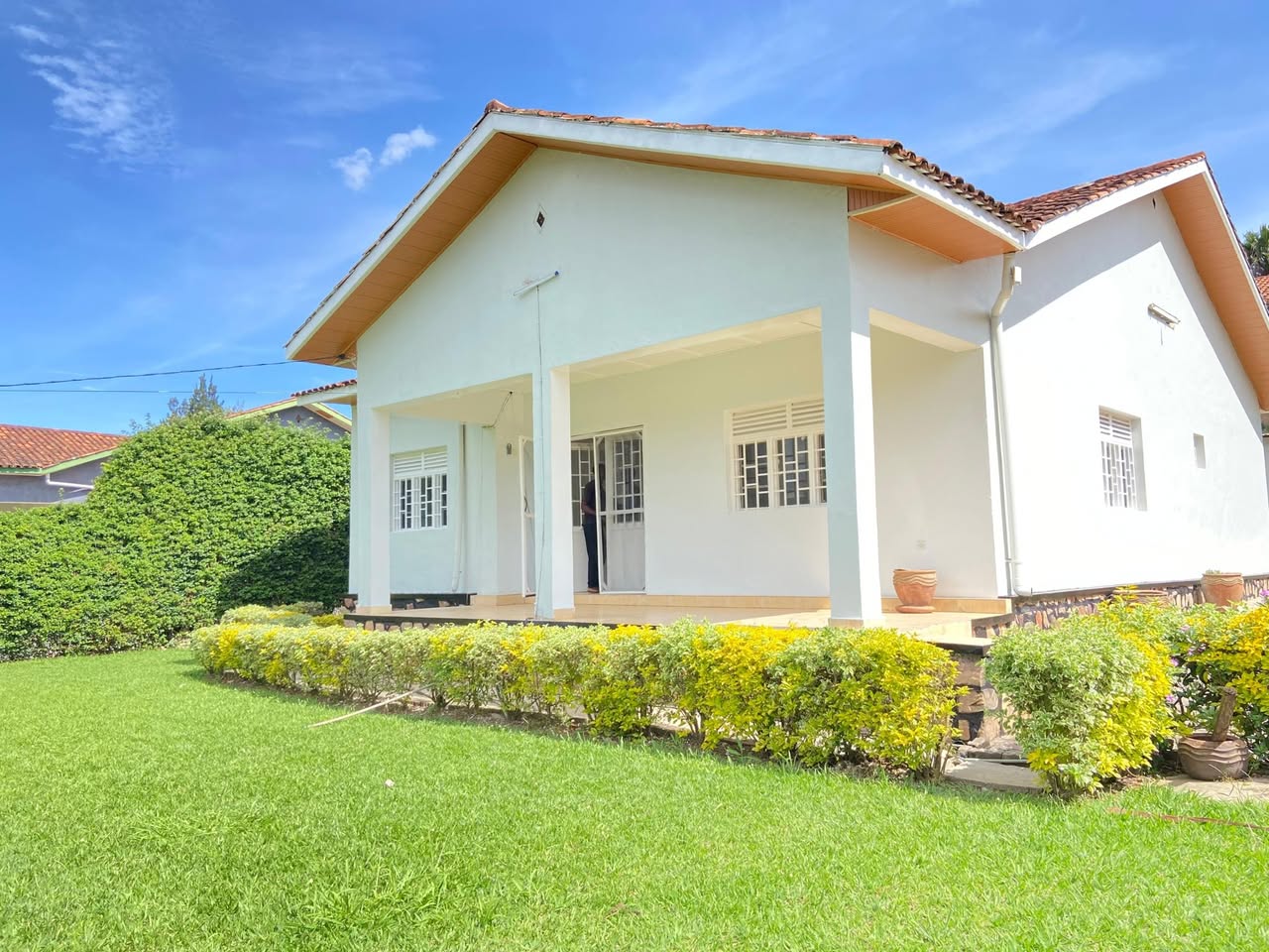 houses for rent