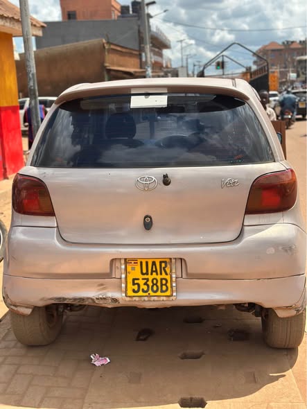 A picture of Vitz