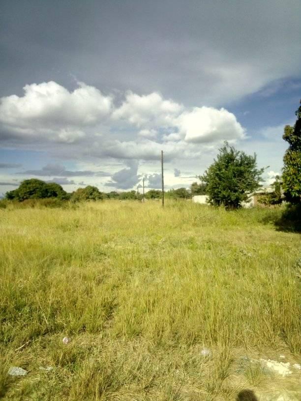 farms for sale