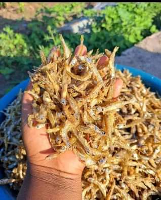 A picture of Dagaa wa mwanza waliokaangwa