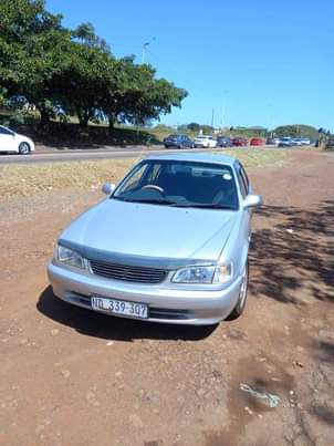 Kzn C.