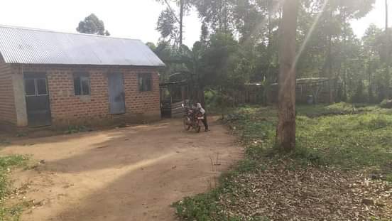 A picture of Plot
