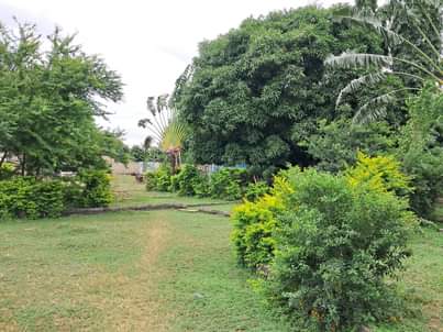 A picture of Nyumba mbezi beach