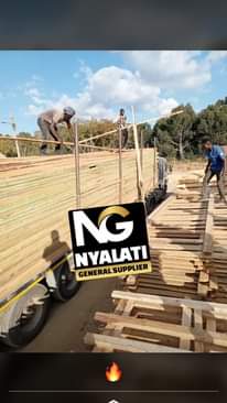 A picture of Nyalati timber suppliers