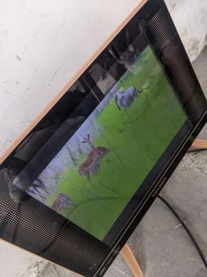 A picture of Topvision inch 19