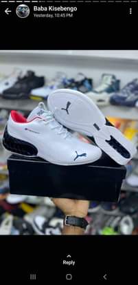 A picture of Puma