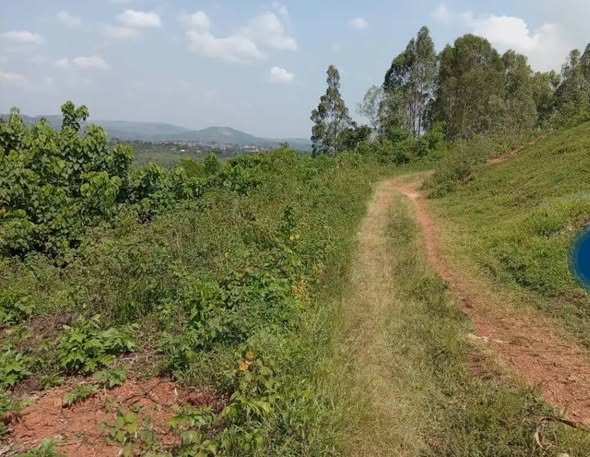 Lukandwa P.