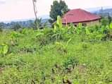 A picture of CHEAP PLOTS available from 1million Power water on site 20x30ft