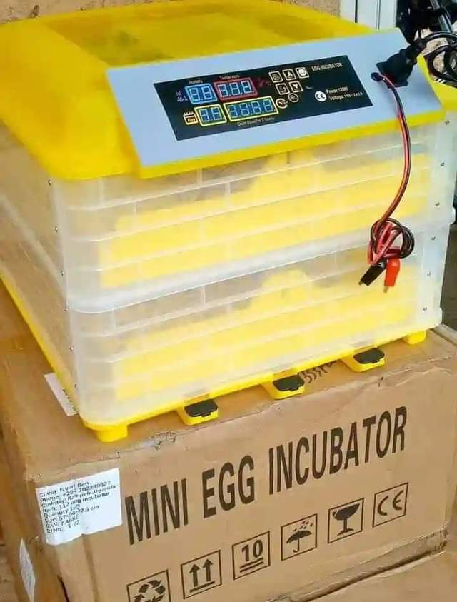A picture of Automatic incubator