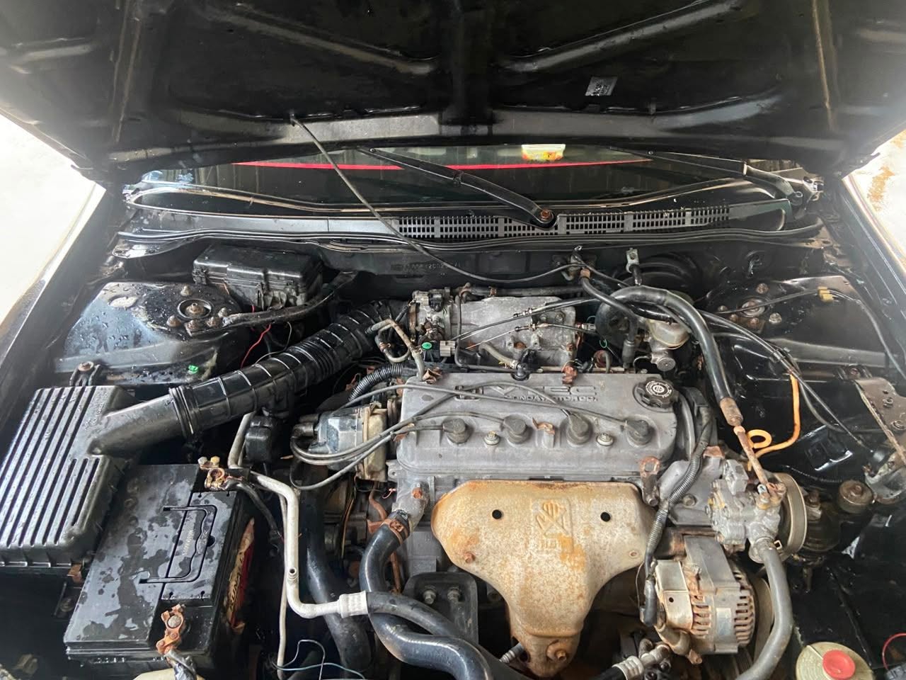 A picture of HONDA BABY BOY
