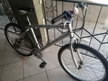 Phala M.