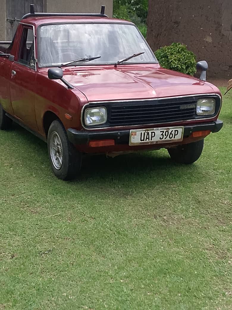 A picture of Nissan datsun 1200
